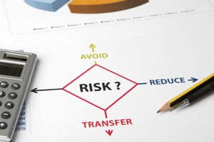 Risk Transfer